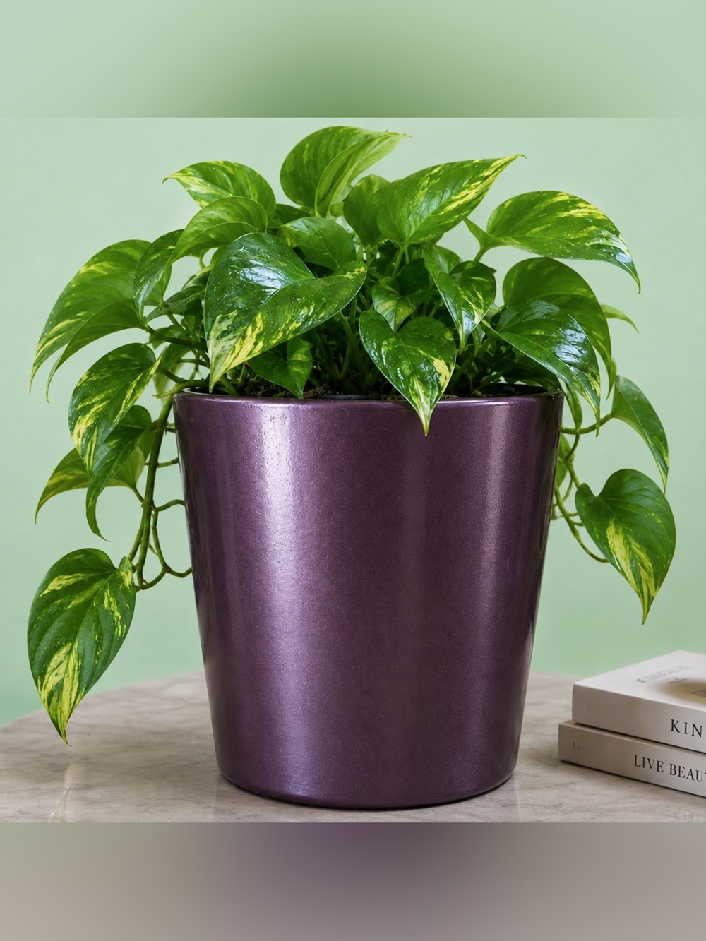 NWOT Plum Ceramic Planter Modern Home Accent